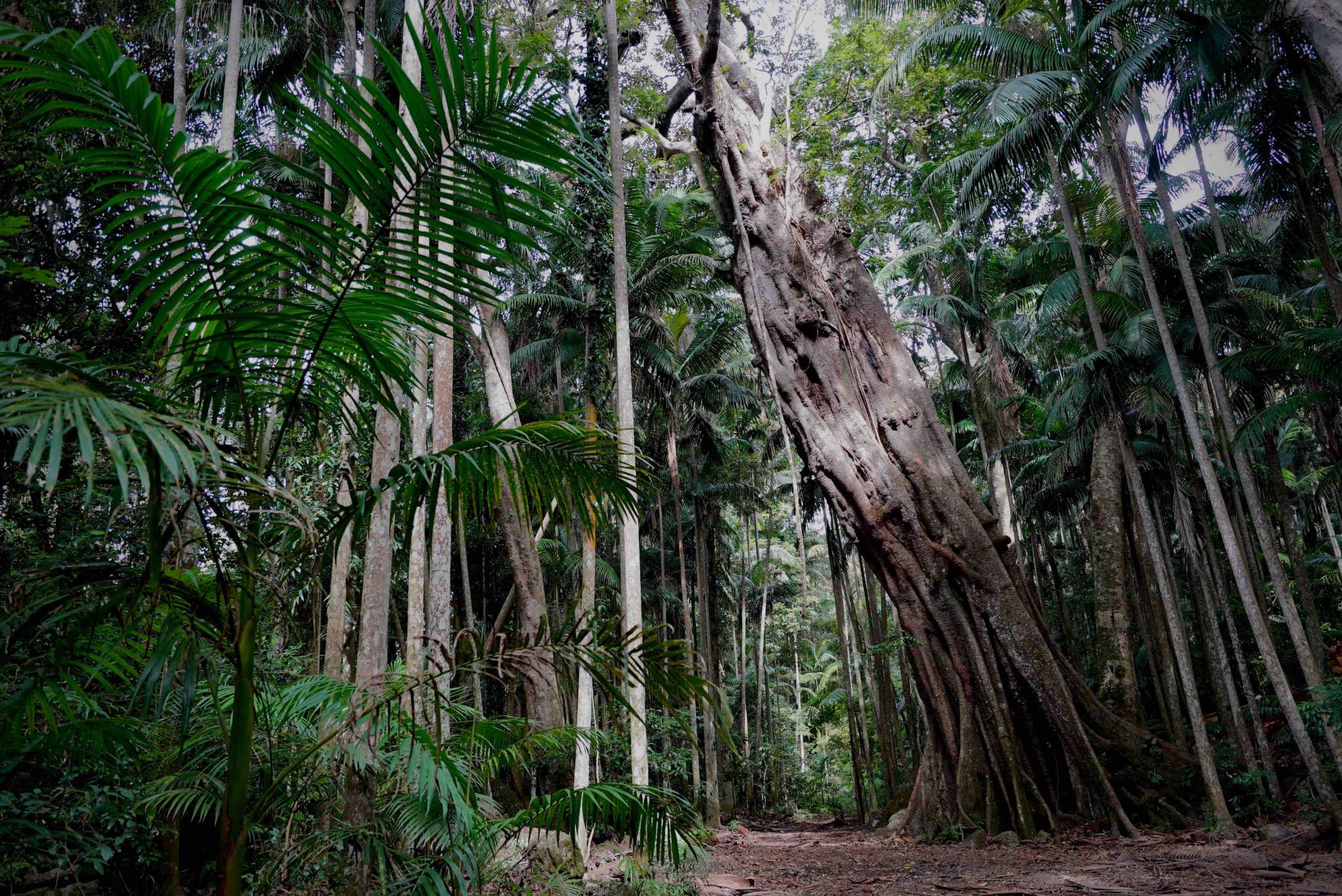 Locations Screen Queensland