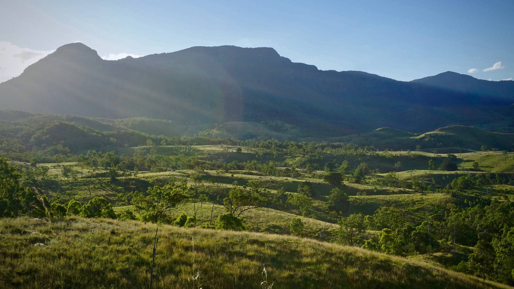 Brisbane Zone Screen Queensland