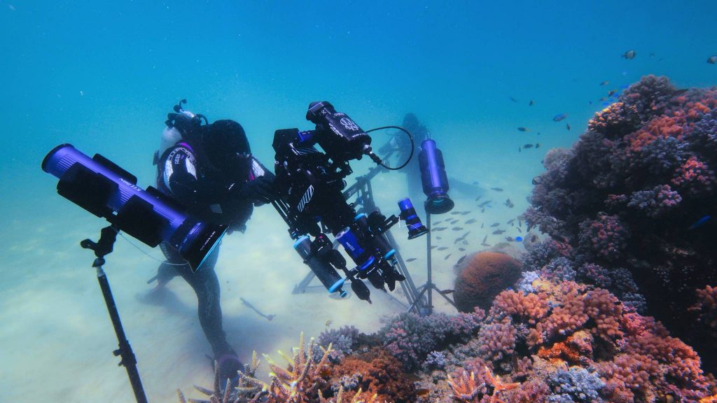 New Great Barrier Reef Netflix Documentary 